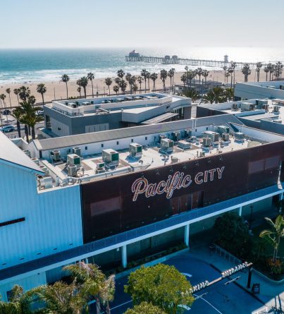 drone shot with pier (1)